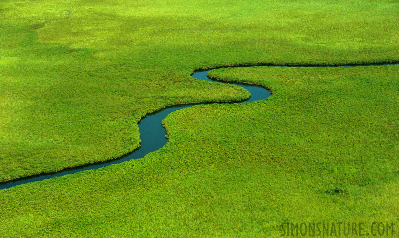 Okavango Delta Mai 2014 [100 mm, 1/3200 Sek. bei f / 8.0, ISO 2500]